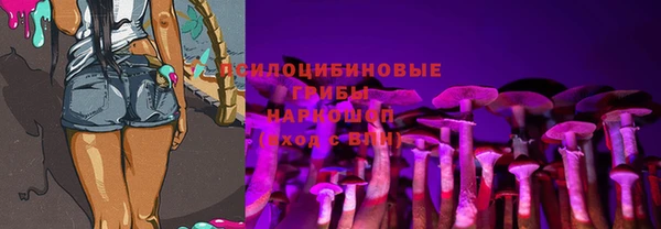 альфа пвп Богородицк