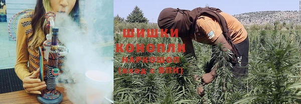 ПСИЛОЦИБИНОВЫЕ ГРИБЫ Беломорск