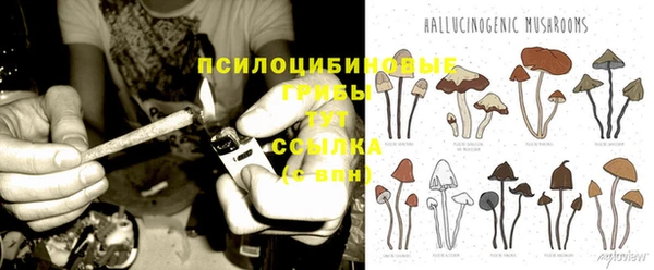 герыч Белокуриха