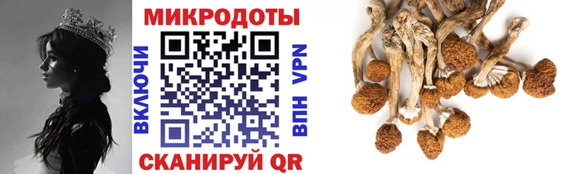 mega маркетплейс  Славгород  Галлюциногенные грибы мухоморы 