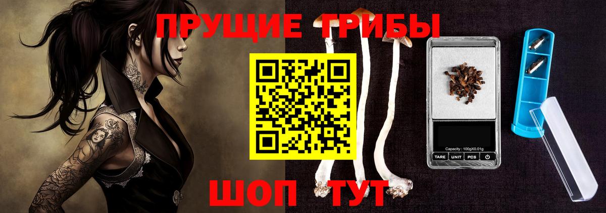 Галлюциногенные грибы ЛСД  Вход с VPN  закладка  Славгород 